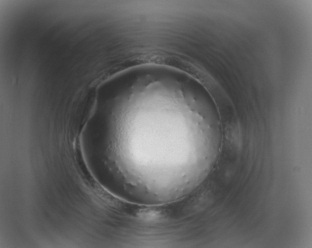 X0000083020602200702091319