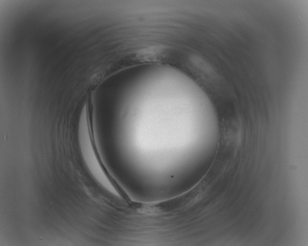 X0000083020603200702091319