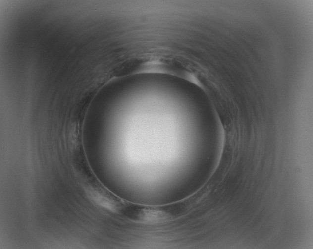 X0000083020605200702091319