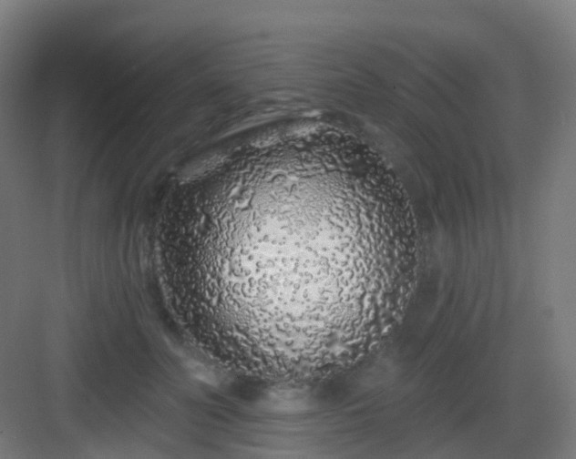 X0000083020606200702091319