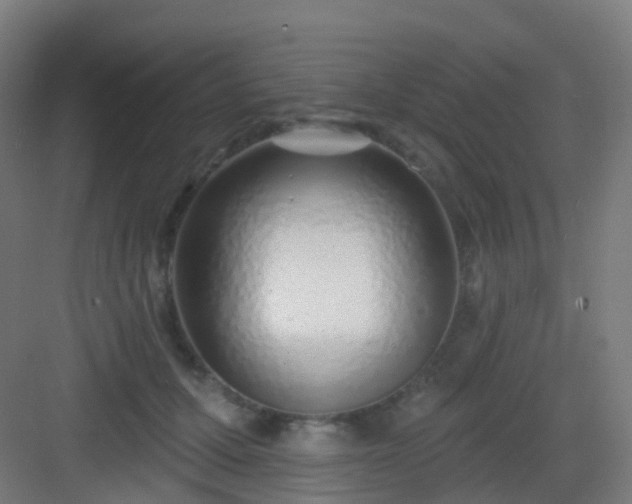 X0000083020607200702091319