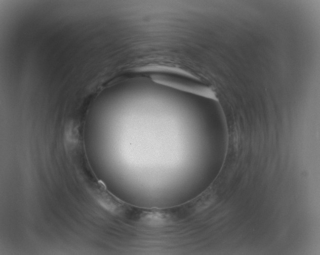 X0000083020611200702091319