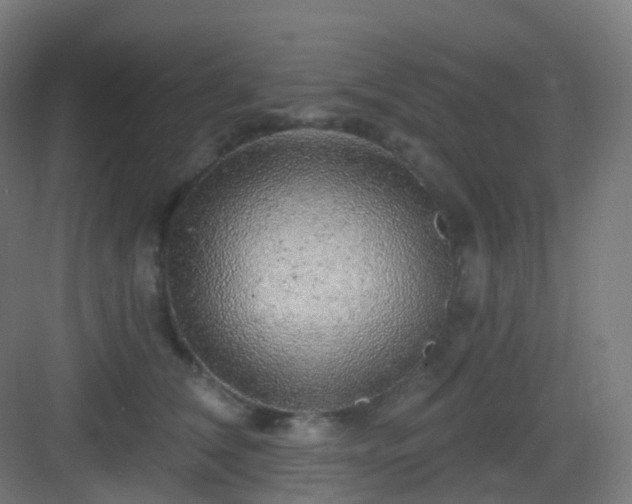 X0000083020612200702091319