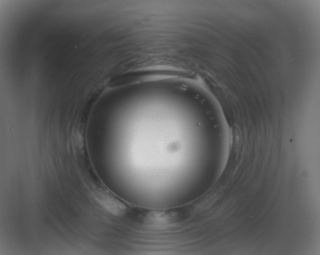 X0000083020613200702091319