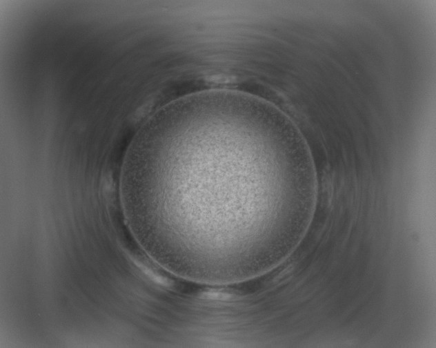 X0000083020614200702091319