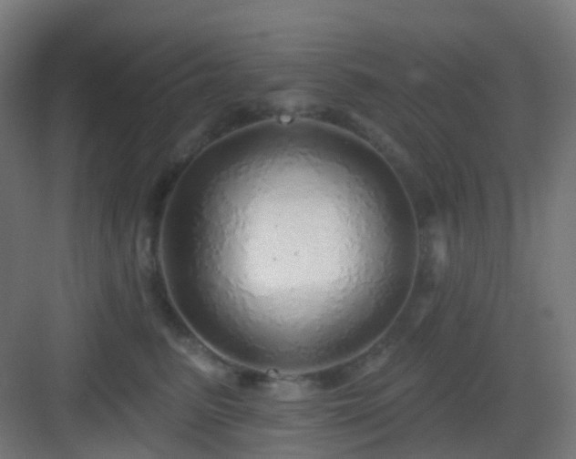 X0000083020615200702091319