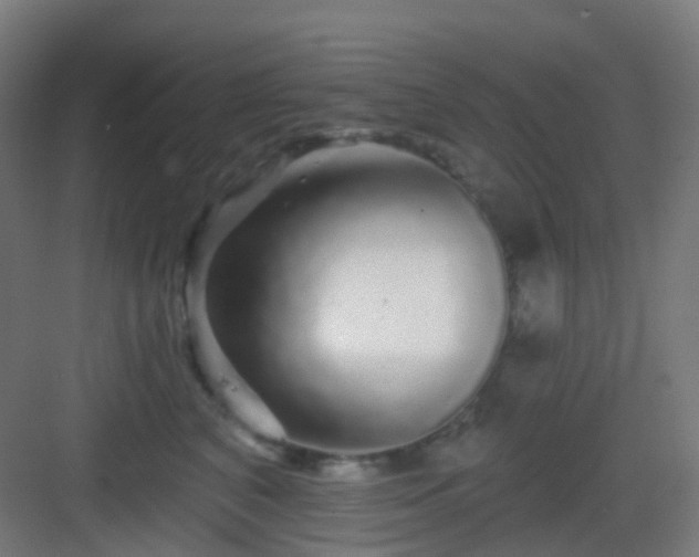X0000083020616200702091319
