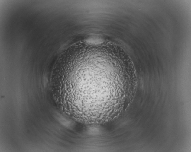 X0000083020618200702091319