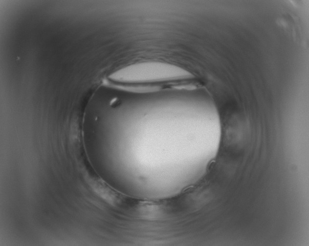 X0000083020620200702091319