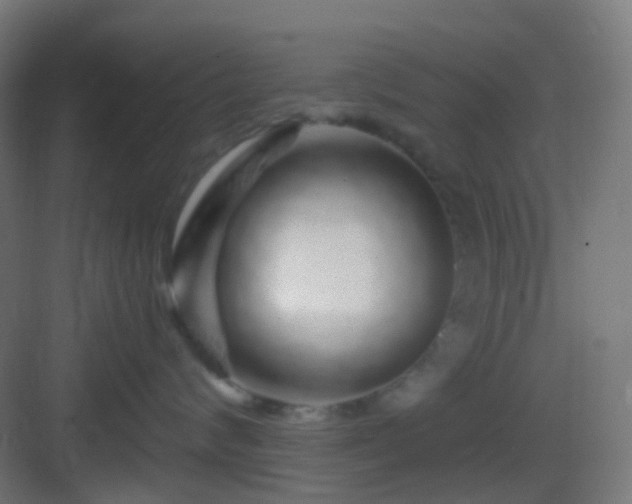 X0000083020624200702091318