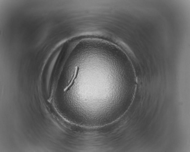 X0000083020628200702091318
