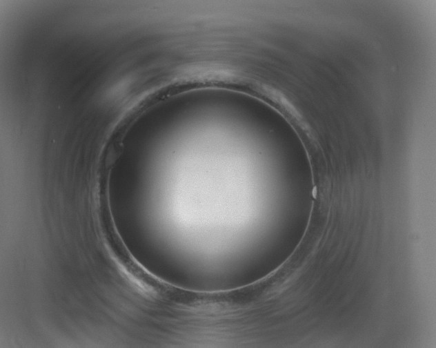 X0000083020629200702091318