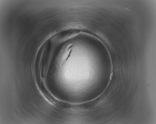X0000083020630200702091318