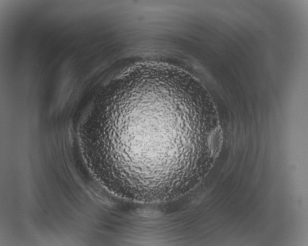 X0000083020644200702091318