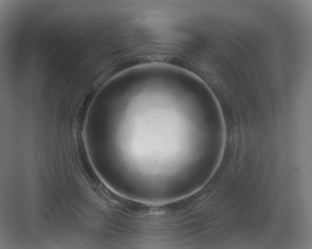 X0000083020647200702091318