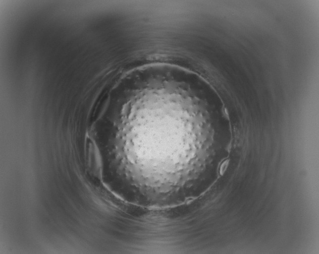 X0000083020648200702091318