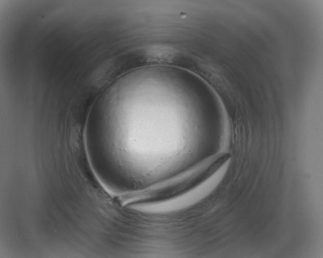 X0000083020649200702091318