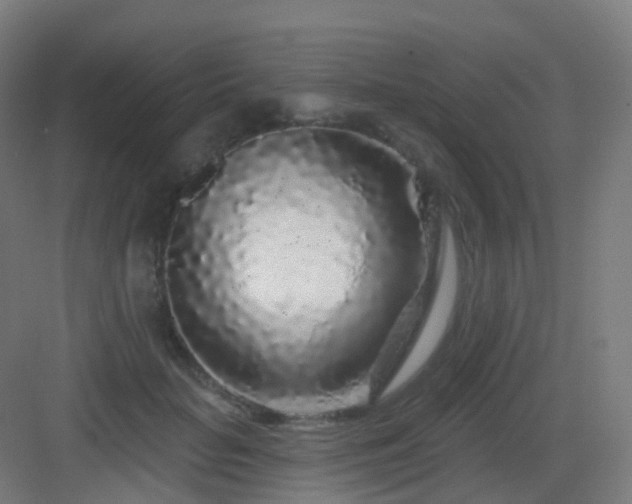 X0000083020653200702091318