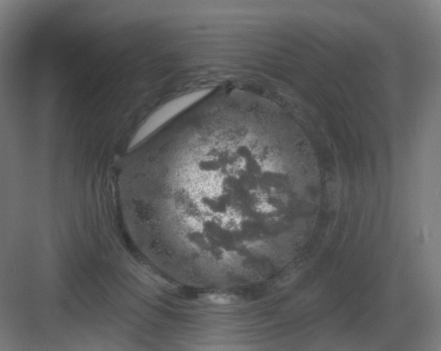 X0000083020654200702091318