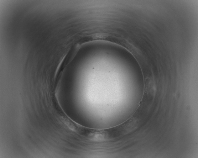 X0000083020655200702091318
