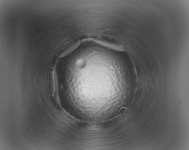 X0000083020656200702091318