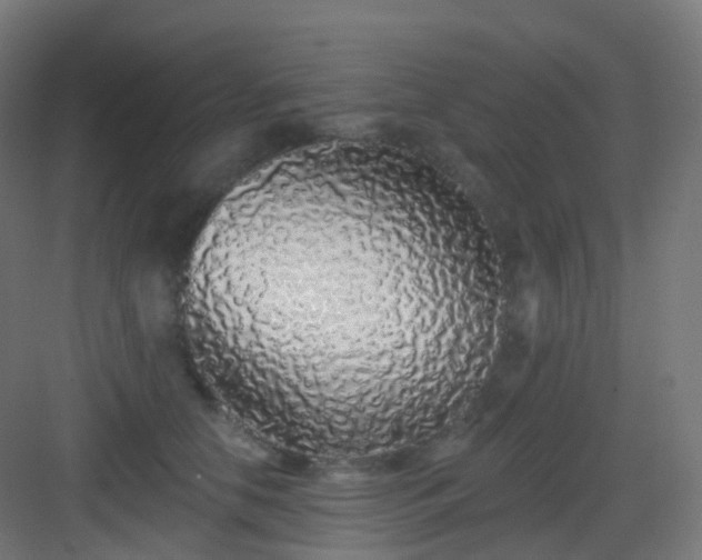 X0000083020658200702091318
