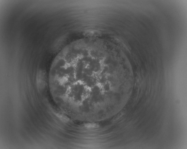 X0000083020659200702091318