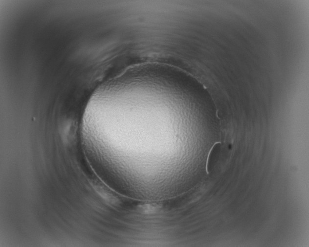 X0000083020660200702091318