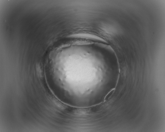 X0000083020661200702091318
