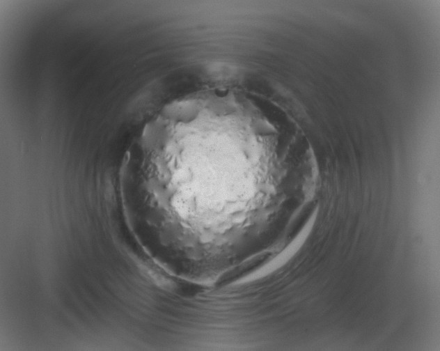 X0000083020662200702091318