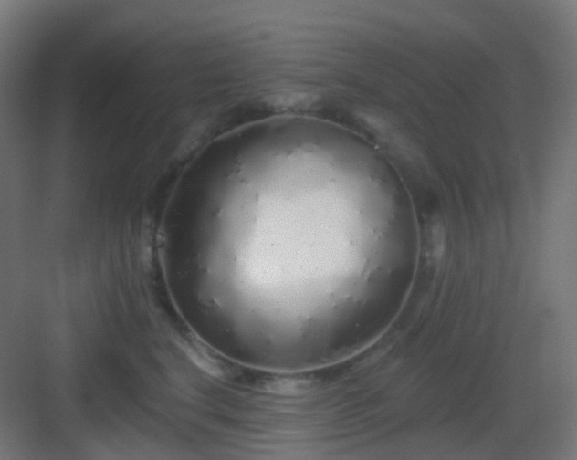 X0000083020664200702091318