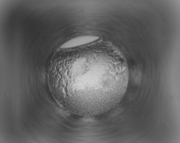 X0000083020668200702091318