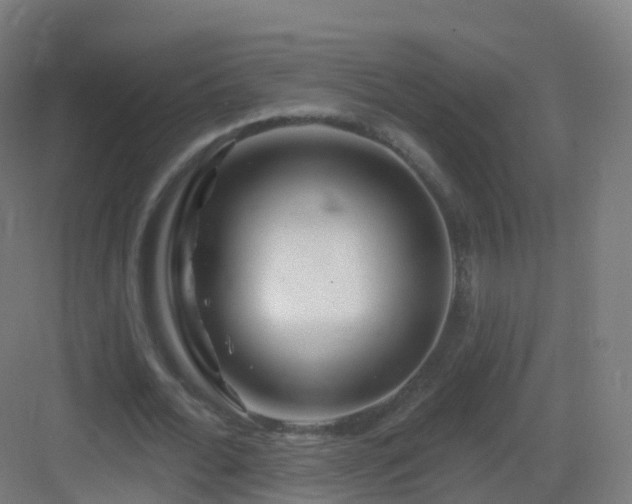 X0000083020676200702091318