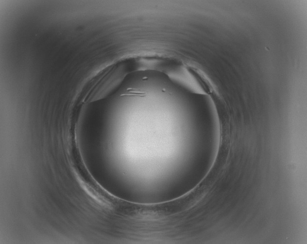 X0000083020677200702091318