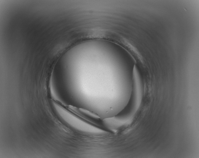 X0000083020681200702091317