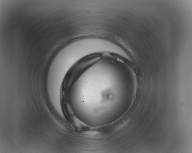 X0000083020685200702091317