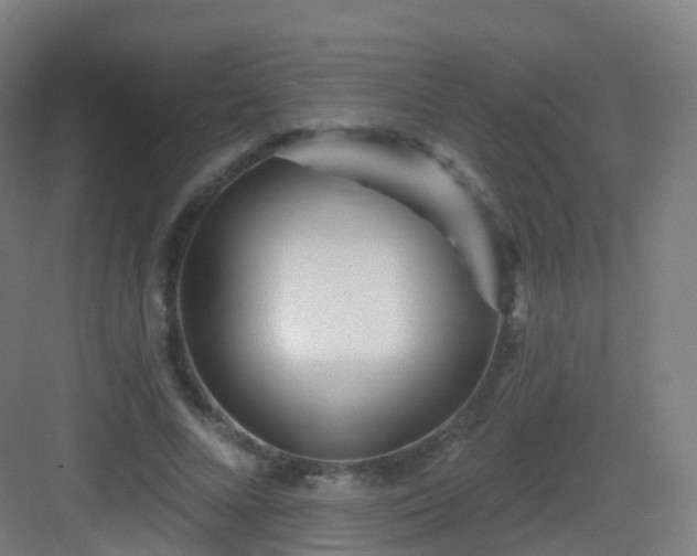 X0000083020688200702091317