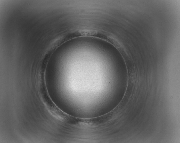 X0000083020690200702091317