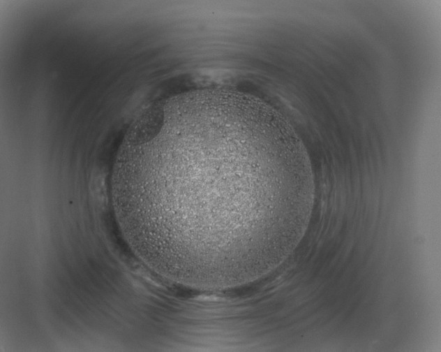 X0000083020699200702091317