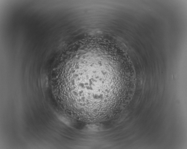 X0000083020703200702091317