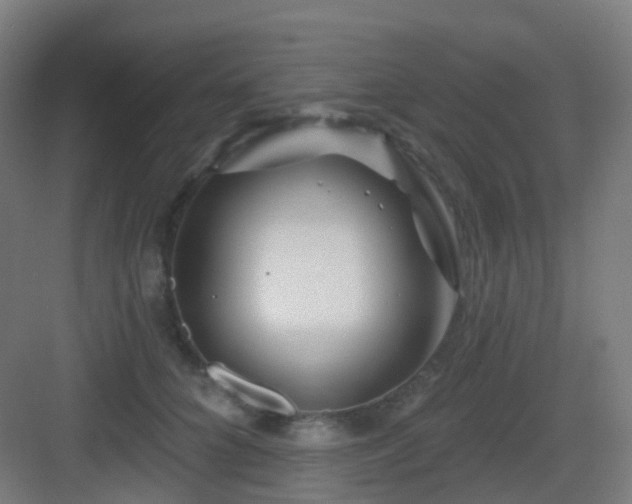 X0000083020704200702091317