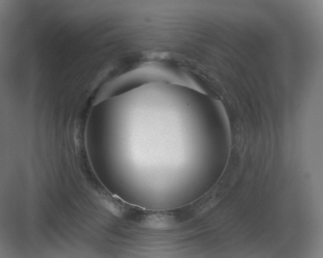 X0000083020708200702091317