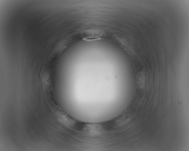 X0000083020713200702091317