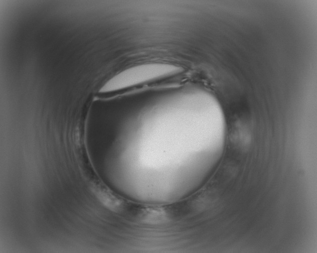 X0000083020715200702091317
