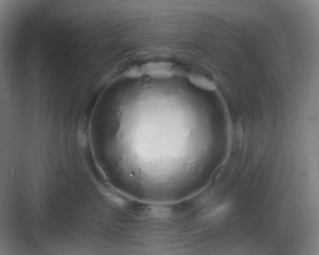 X0000083020719200702091317