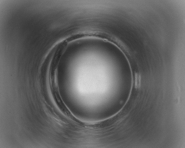 X0000083020723200702091316