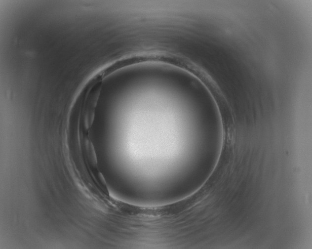 X0000083020724200702091316