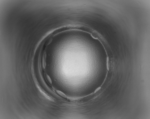X0000083020726200702091316