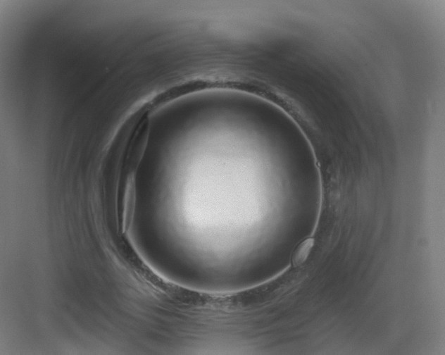 X0000083020727200702091316