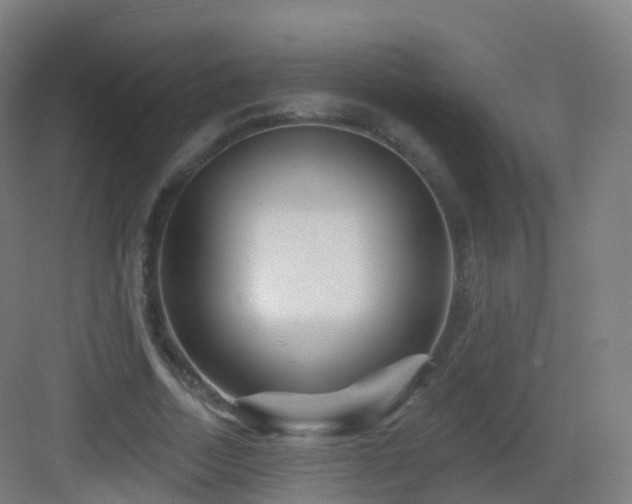 X0000083020730200702091316